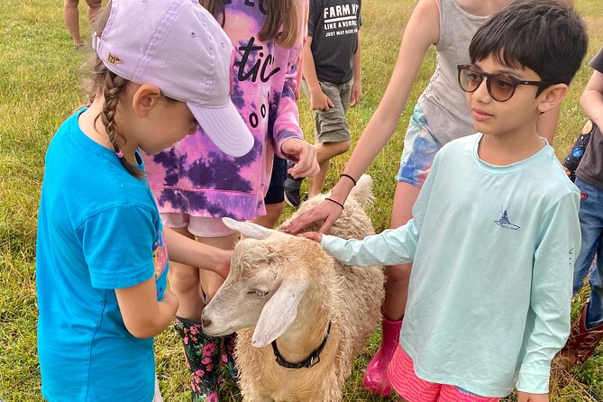 Farm Tour at Clover Brooke Llama/Alpaca/Goat Farm - Tour Guides and Feedback