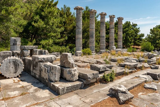 Ferry to Kusadasi From Samos - Accessibility Features