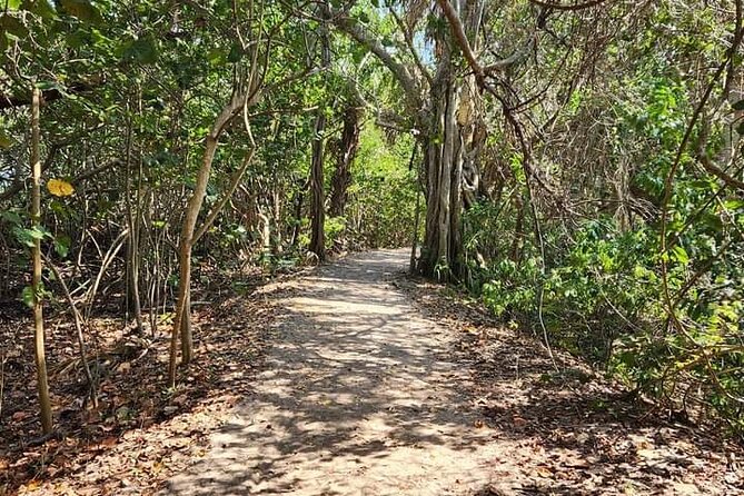 Florida Backcountry Overnight Camping Adventure Review - Dining and Meals