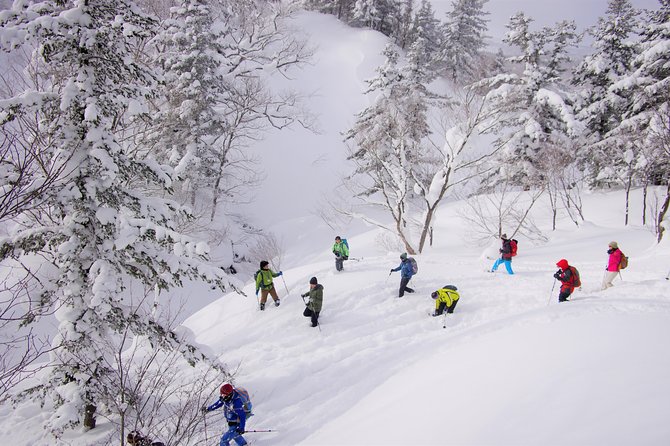 Fluffy New Snow and the Earth Beating, Goshougake Oyunuma Snowshoeing Tour - Cancellation and Booking Policies