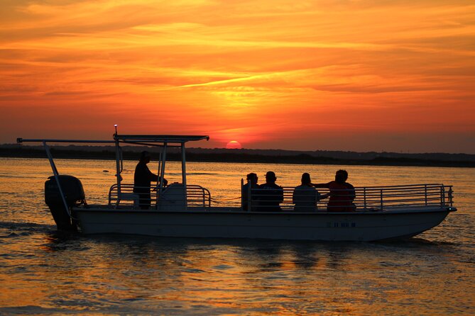 Folly Beach Eco Boat Excursion and Morris Island Drop Off - Wildlife Sightings and Exploration