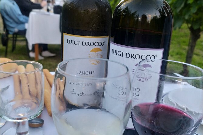 Food and Wine Tasting and Dinner in the Vineyard in the Langhe - The Culinary Journey