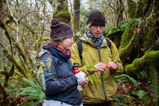 Foraging Tour of Edible Plants Review - Highlights of the Foraging Tour