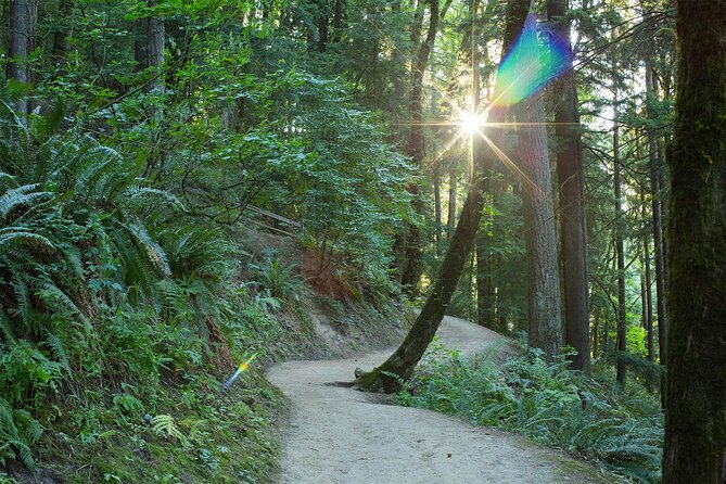 Forest Park Hiking Tour to Pittock Mansion - Start Time and Participant Information