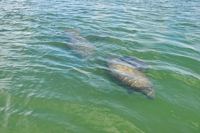 Fort Myers Beach Sightseeing Tour Review - Highlights of the Tour