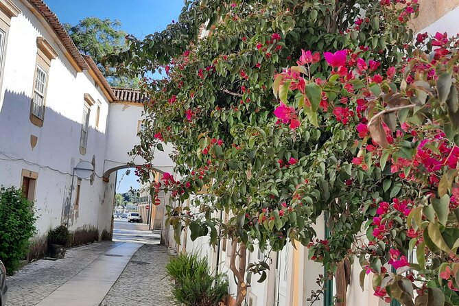 From Lisbon: Small-Group Discovery of Tomar - Travel Experience