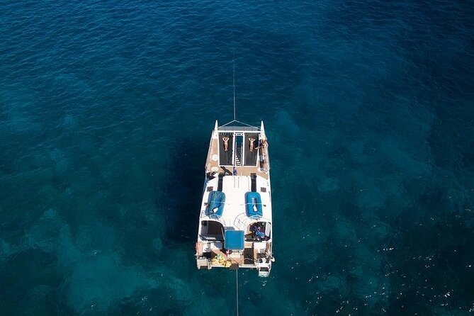 From Maalaea Harbor: Sunset Whale Watch Tour Aboard the Malolo - Guest Feedback and Ratings