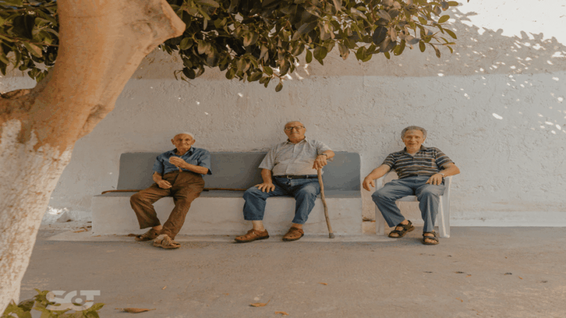 From Makry Gialos: Cretan Villages and Olive Oil Farm Tour - Prina Village