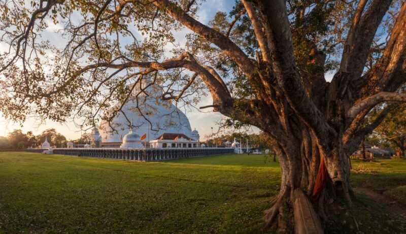 From Negombo: Full-Day Unesco City of Anuradhapura Trip - Included and Excluded