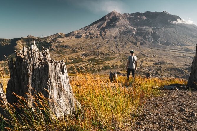 From Portland to Mt. Saint Helen Tour in a Small Group - Tour Experience and Travelers