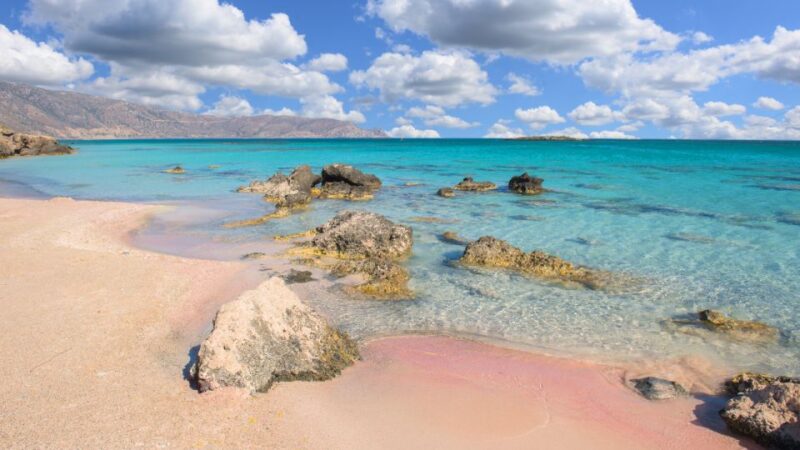 From Rethymno: Elafonisi Pink Sand Beach W/ Transfer - Inclusions and Requirements