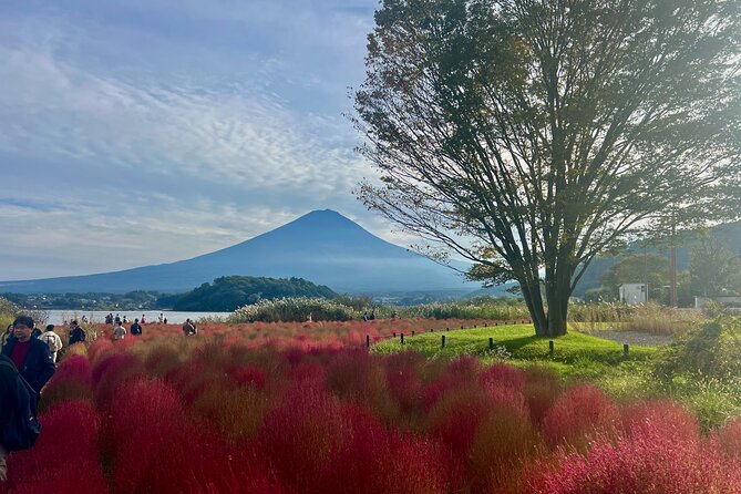 Fuji and Hakone Private Tour With English Guide and Photography - Booking Details