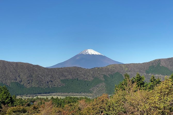 Fuji Kawaguchiko Hakone Private Car Tour - Accessibility