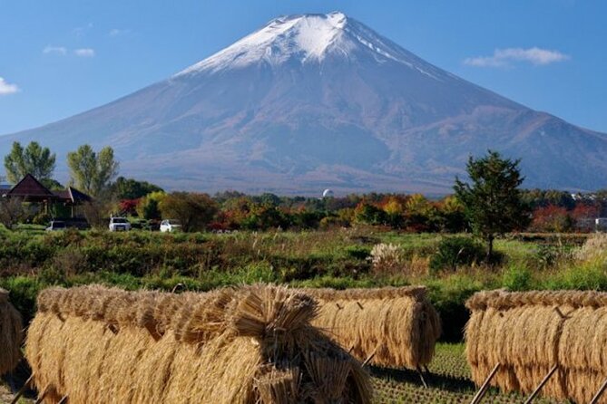 Fuji Speedway Self Drive & Mt. Fuji Private Tour Pickup on LEXUS - Pricing and Cancellation Policy