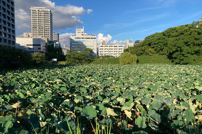 Fukuoka City Walking and Public Transport Tour - Uncovering Hidden Gems of Fukuoka