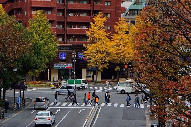 Fukuoka Private Customizable Half Day Tour - Customizing Your Itinerary