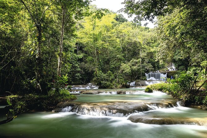 Full Day Appleton Rum, YS Falls and Pelican Bar Group Tour - Guest Reviews