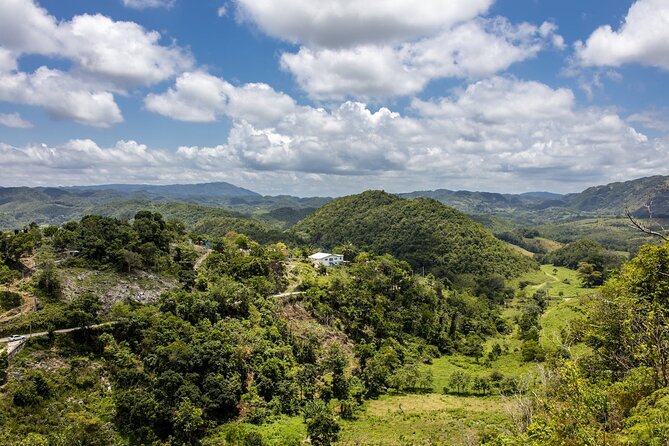 Full Day Dunns River and Nine Miles With Lunch - Experience Highlights