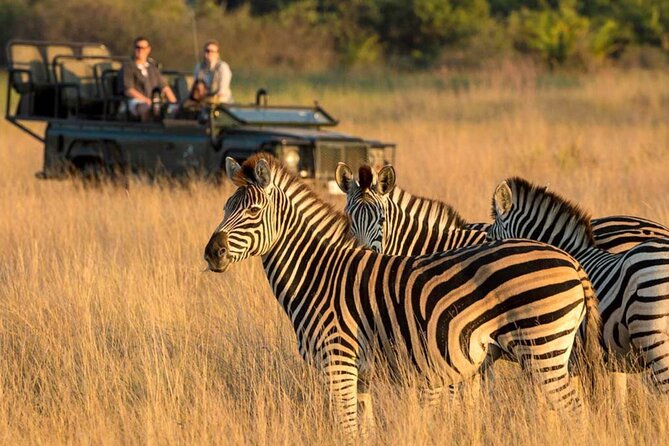 Full Day Durban & Phezulu Safari Park Private Tour From Durban - Reviews and Ratings