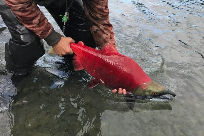 Full Day Fishing Trips - Traveler Reviews