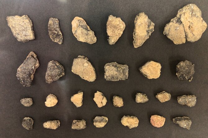 Full-Day Jomon World Heritage Site Tour in Northern Tsugaru Area - Additional Information