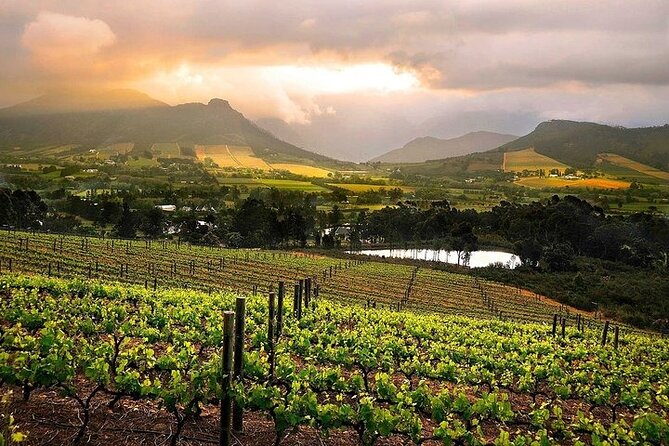 Full Day Private Cape Winelands - Pricing and Booking Details