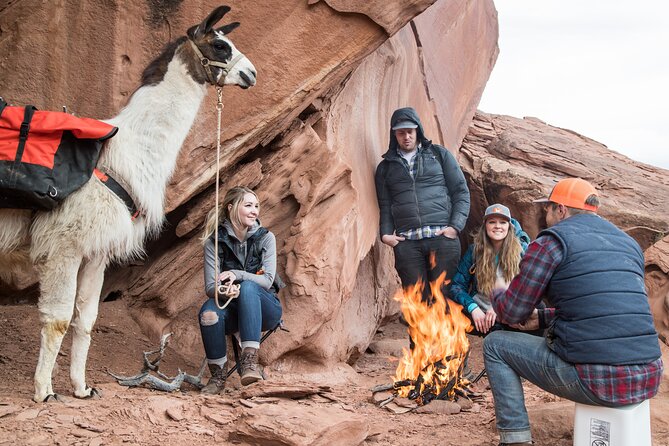 Full-Day Private Guided Llama Hikes Review - Health and Accessibility Information