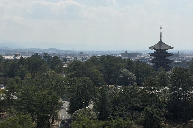 Full-Day Private Guided Tour to Nara Temples - Reviews and Feedback