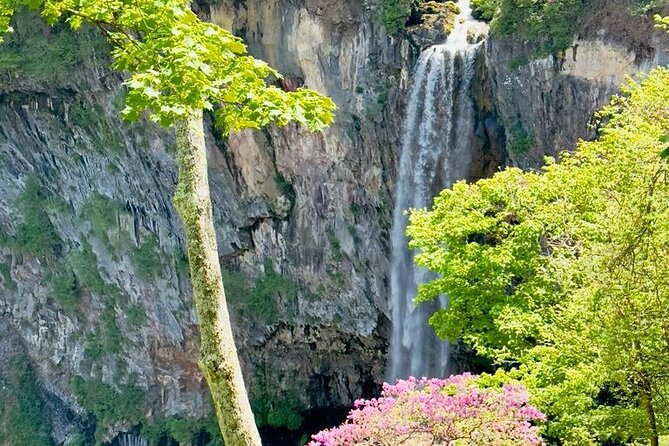 Full-Day Private Nikko Tour From Tokyo Wd English Speaking Driver - Guide and Driver Expertise