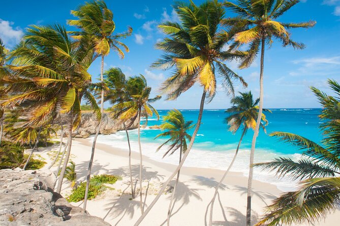 Full Day Private Shore Tour in Bridgetown From Bridgetown Port - Additional Information