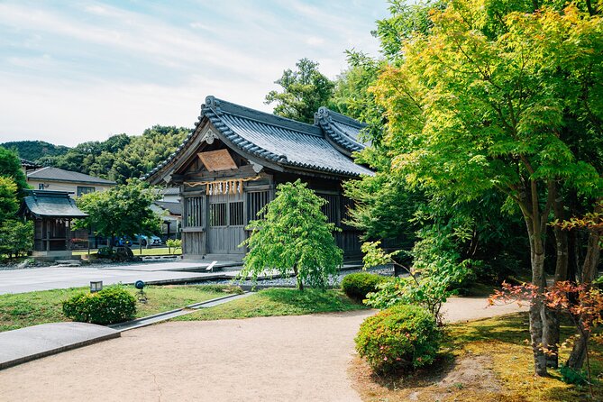 Full Day Private Shore Tour in Fukuoka From Sasebo Cruise Port - Accessibility and Participation