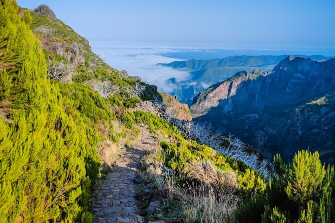 Full Day Private Shore Tour in Madeira From Funchal Cruise Port - Cancellation and Refund Policy