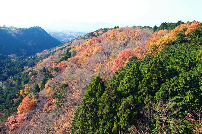 Full Day Private Tour in Hakone - What to Expect