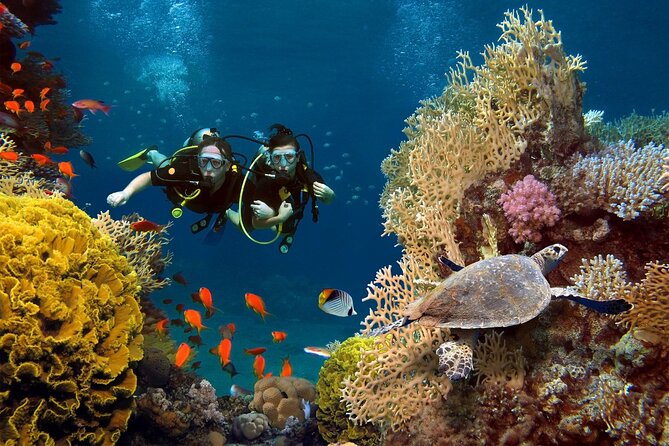 Full-Day Private Tour in Key West - Language and Guide Information