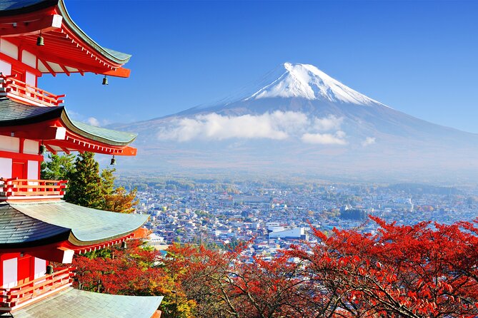 Full Day Private Tour in Mt. Fuji and Hakone - Best Times to Visit