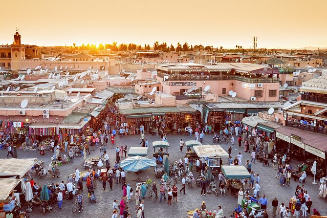 Full-Day Private Tour to Marrakech From Casablanca - Customer Feedback