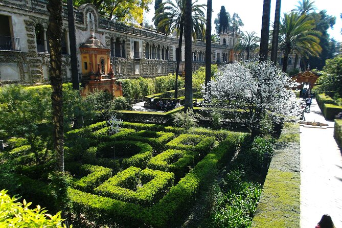 Full Day Private Tour to Sevilla From Málaga - Schedule