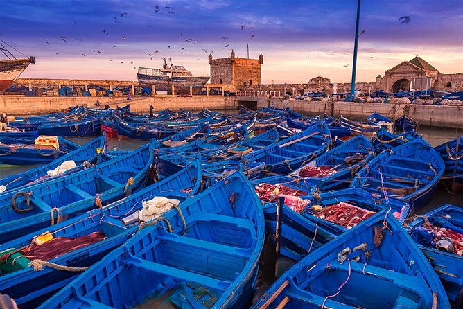Full Day Tour Essaouira Day Tour From Marrakech - Accessibility Features