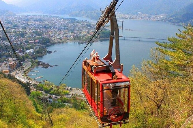 Full Day Tour in Mount Fuji and Oishi Park With Fruit Picking - Dietary Requirements