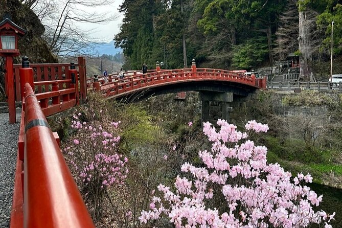 Full Day Tour in Nikko With Pickup - Booking Information