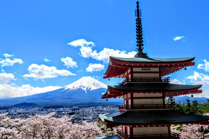 Full Day Tour of Mount Fuji and Hakone From Tokyo - Pricing and Availability