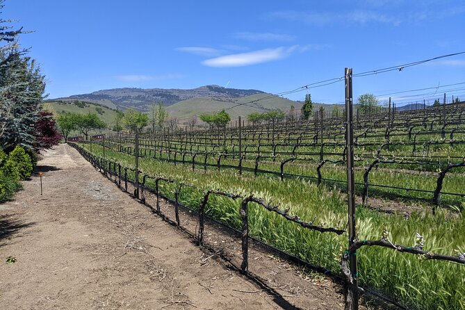 Full-Day Tour of Rogue Valley Wineries - Reviews and Pricing