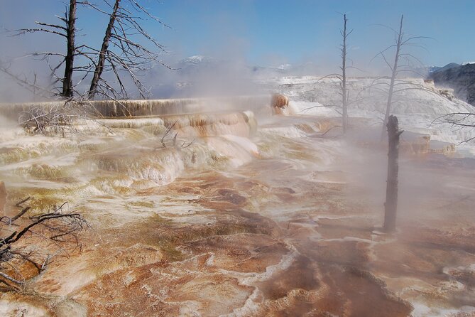 Full-Day Yellowstone Upper (Northern) Loop Tour - Cancellation Policy