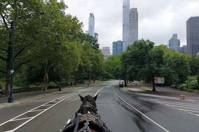 Full Loop Private Horse Carriage Ride in Central Park 45 Minutes - Customer Feedback