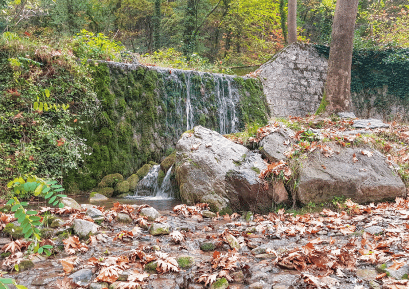 Fullday Private Trip to Edessa Waterfalls & Pozar Hotsprings - Lunch at Loutraki Pellas
