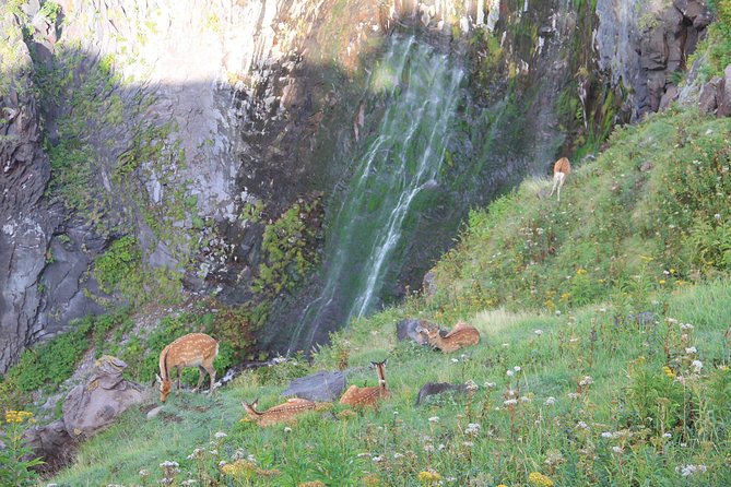 Furepe Waterfall Nature Walk - Preparing for Your Furepe Waterfall Adventure