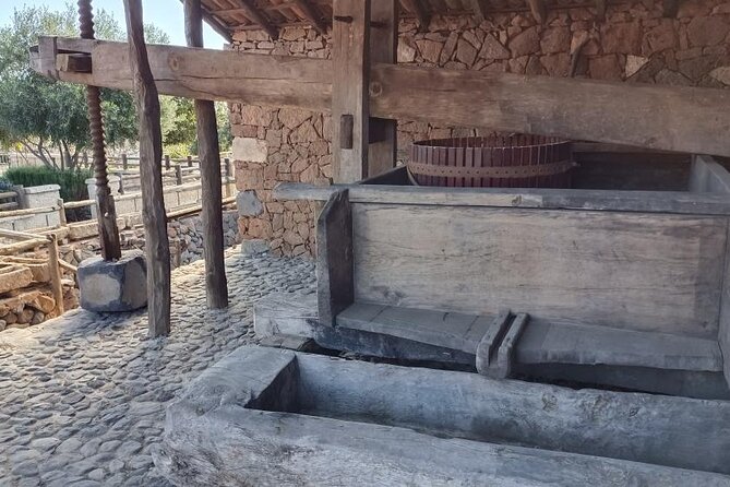 Gastro Wine Tour South Tenerife - Booking Information