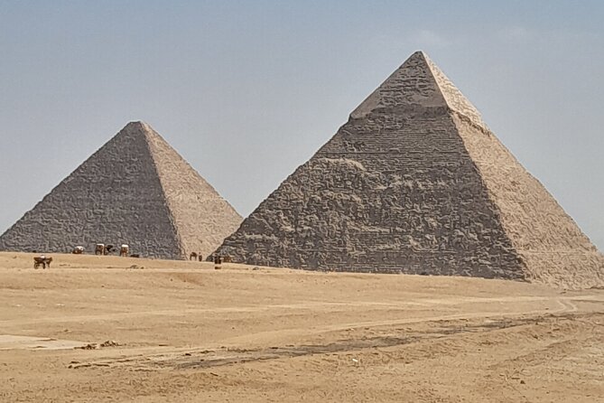 Giza Pyramids and Sphinx Tour Review - Tour Logistics