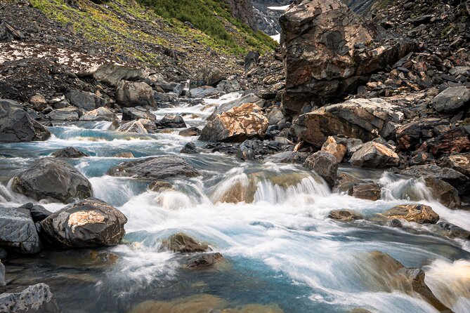 Glacier View & Wildlife Anchorage Adventure Tour - Scenic Beluga Point and Byron Glacier
