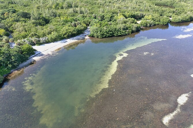Glass Bottom Kayak Mangrove Tunnel & Sandbar Adventure Sarasota - Pricing Information